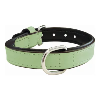 GLORIA  Collier pour chien en Cuir  Padded 55 cm vert T.U