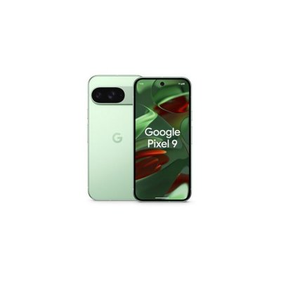 GOOGLE  Pixel 9 Vert Amande 256 Go