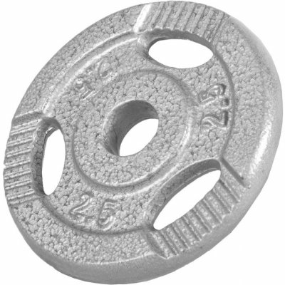 GORILLA SPORTS  - Disques en fonte avec poign&eacute;es - 31 mm - Gris - De 0,5 kg &agrave; 20 kg - Poids : 2,5 kg
