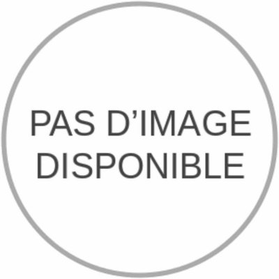 RAIN BIRD Goutteur auto-per&ccedil;ant Auto r&eacute;gulant 2 Litres/h  x 100