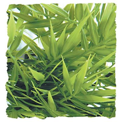 ZOOMED Grande Plante Plastique Madagascar Bambou 55 cm Zoo Med