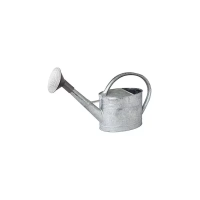 GUILLOUARD  - Arrosoir acier galvanis&eacute; avec pomme 6 litres