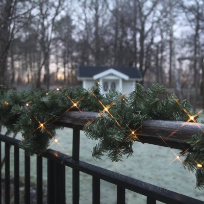 STAR TRADING Guirlande en pin avec LED, pour l'ext&eacute;rieur, 2,5m, blanc chaud LED s