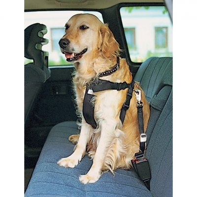 TRIXIE Harnais avec Ceinture de S&eacute;curit&eacute; XS 
