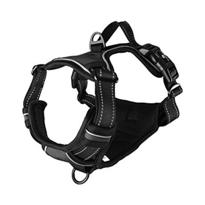 FLAMINGO Harnais Balou Noir pour chien L 60-85 cm x 25 mm