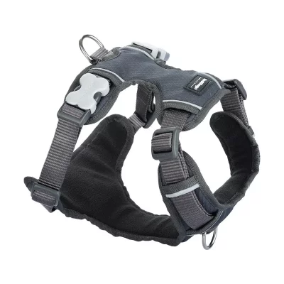 RED DINGO Harnais chien  rembourr&eacute; Gris Taille : T2 - Gris
