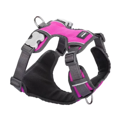 RED DINGO Harnais chien  rembourr&eacute; Rose Taille : T1 - 