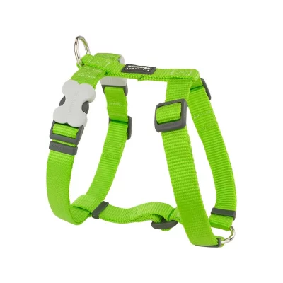 RED DINGO Harnais chien r&eacute;glable  Basic Vert Taille : T1 - Vert