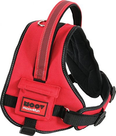 ZOLUX Harnais confort reglable xl moov rouge pour chien