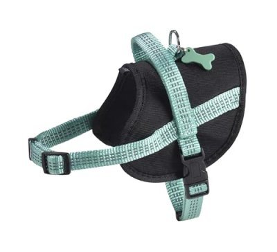 BOBBY Harnais Easy Safe Lagon Taille : m - Lagon