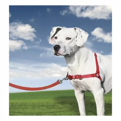 GENERIQUE Harnais easywalk chien m rouge Cynnotek CY3117