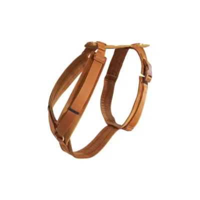 KENTUCKY Harnais pour chien actif velours orange M 30-48cm