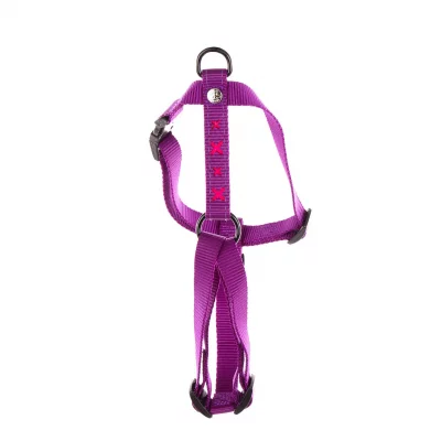 MARTIN SELLIER Harnais pour chien croix nylon 