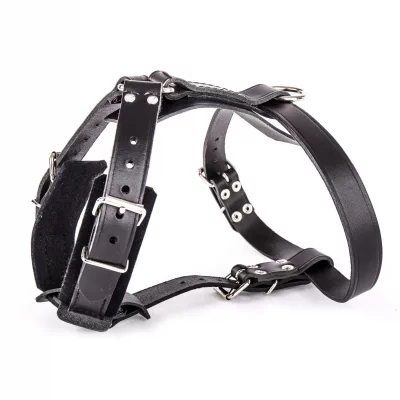 MARTIN SELLIER Harnais pour chien en cuir feutre 