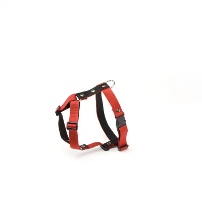 MARTIN SELLIER Harnais pour chien  M