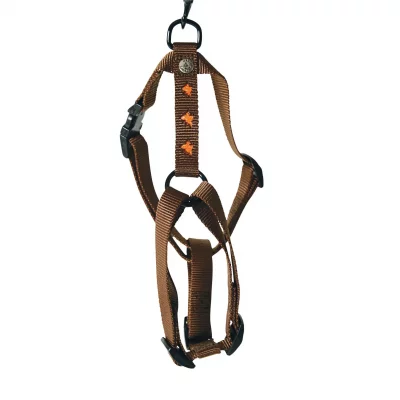 MARTIN SELLIER Harnais pour chien  Papillon