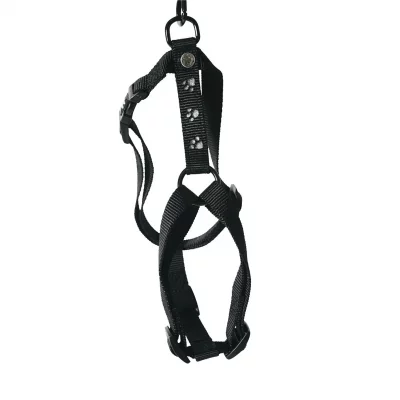 MARTIN SELLIER Harnais pour chien  Patte