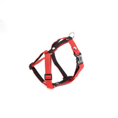 MARTIN SELLIER Harnais pour chien  S