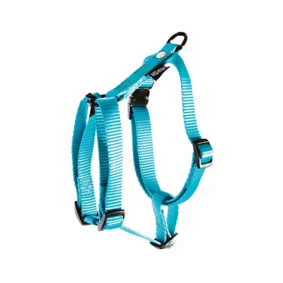 MARTIN SELLIER Harnais pour chien r&eacute;glable en nylon turquoise 36cm 