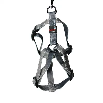 MARTIN SELLIER Harnais REFLEX 20-50-70gRIS CLAIR 