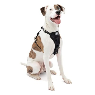 KURGO Harnais Transport Et Marche S&eacute;curit&eacute; Tru-Fit Pour Chien -  - M