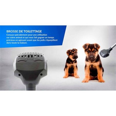 HARPER  Lot de 2 brosses d'aspirateur Pet BP2 - Pour animaux