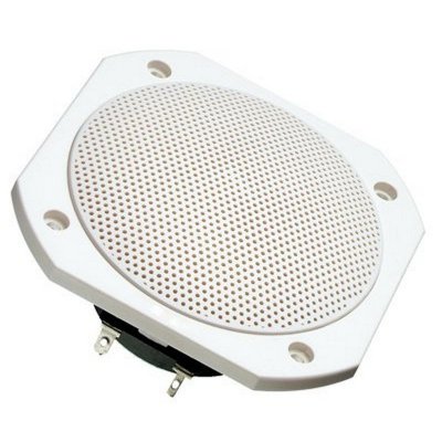 VISATON Haut-parleur &agrave; large bande 4 Ω 50 W -  FRS 10 WP-4 WHITE