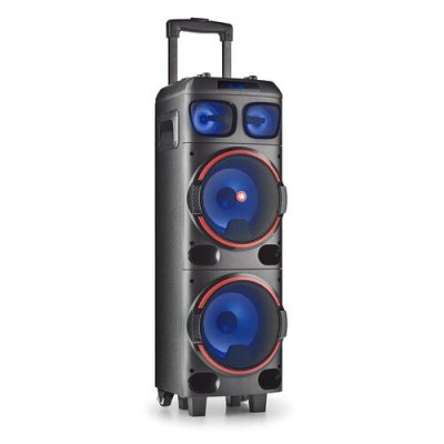 NGS Haut-parleurs bluetooth portables  WILDDUB1 300W