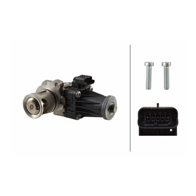 HELLA  Vanne EGR / AGR 6NU 010 171-181