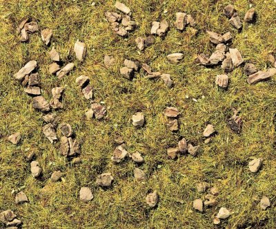 NOCH Herbage &agrave; r&eacute;pandre pr&eacute; de montagne pierreux  8360 vert moyen 20 g