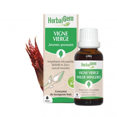 HERBALGEM  Mac&eacute;ratsm&eacute;res Concentr&eacute;s Vigne Vierge 30ml