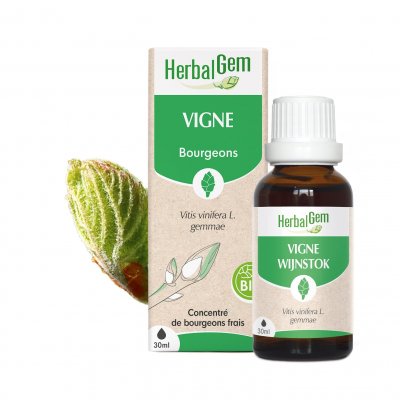 HERBALGEM  Vigne Mac&eacute;rat concentr&eacute;de bourgeons frais 30ml