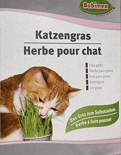 BUBIMEX Herbe &agrave; chat &agrave; brocher - 100g