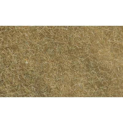 NOCH Herbes sauvages  07101 beige 50 g