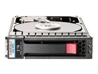 HEWLETT PACKARD ENTERPRISE  HPE MSA 2.4TB 12G SAS 10K 2.5in 512e HDD