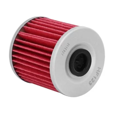 HIFLOFILTRO  Kawasaki Kl 250/650 Oil Filter Dor&eacute;