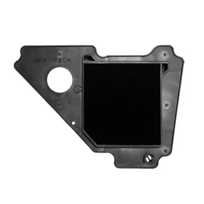 HIFLOFILTRO  Yamaha Hfa4103 Air Filter Noir