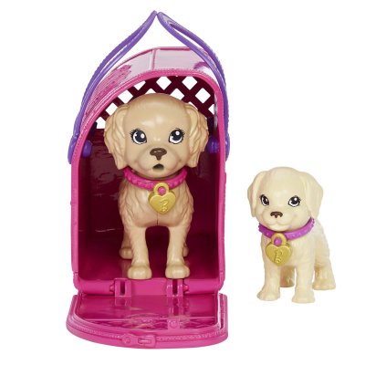 MATTEL HKD86 - Barbie Set de jeu d'adoption de chiots avec poup&eacute;e brunette