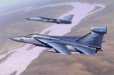 HOBBY BOSS Hobbyboss &eacute;chelle 1&acirc;€&macr;: 48&nbsp;""ef-111&nbsp;Raven Kit de Montage
