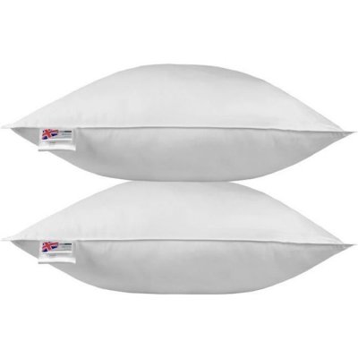 HOMESCAPES  oreiller en plumes de canard 80 x 80 cm - lot de 2 DP1232