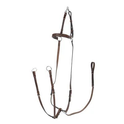 HORZE  Collier de Chasse r&eacute;glable, Marron, F