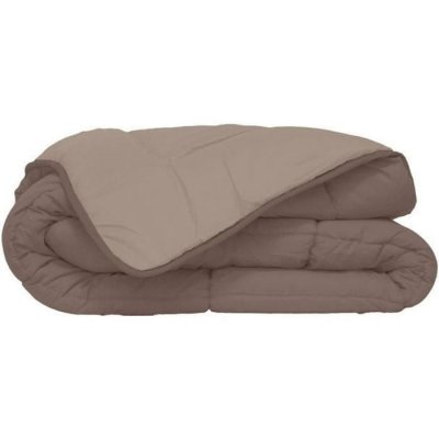 TOISON D OR HUDSON Couette l&eacute;g&egrave;re Microfibre 200g/m&sup2; 240x260cm Taupe & Lin
