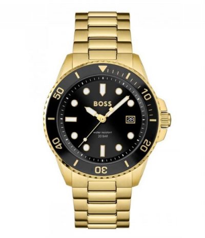  Hugo Boss Montre pour hommes 1513917