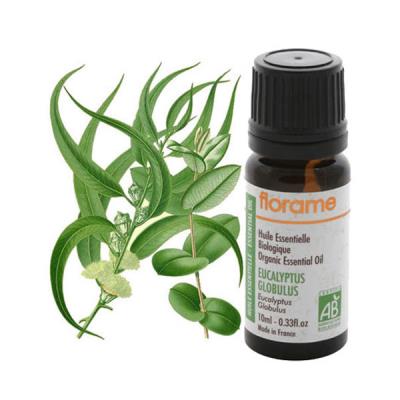 FLORAME Huile essentielle biologique Eucalyptus Globulus 10ml