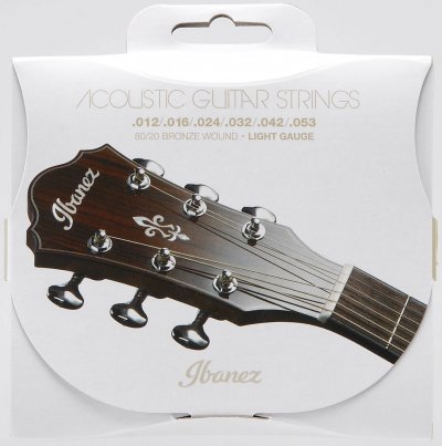 IBANEZ  Iacs6c Light Cordes Guitare Folk Acoustique 12-53