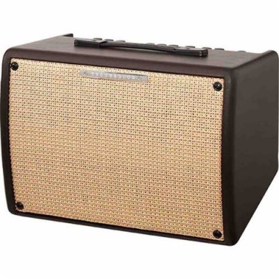 IBANEZ  Troubadour Ii 30 Watts - Ampli Guitare Acoustique