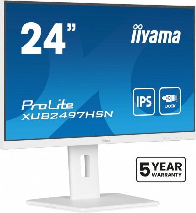 IIYAMA  Prolite XUB2497HSN-W1 24"" LED IPS WQHD 100 Hz USB-C tactile