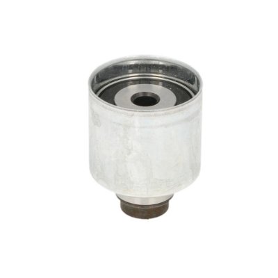 INA  532 0349 10 Poulie renvoi/transmission, courroie de distribution