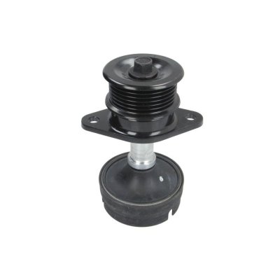 INA  Galet enrouleur (courroie d'accessoire) 532 0612 10 FORD TRANSIT