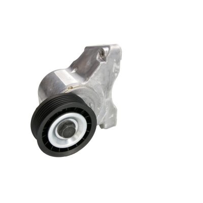 INA  Galet tendeur (courroie d'accessoire) 534 0032 10 FORD FOCUS